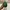 Streetwear Sportswear Windbreaker Pria green photo 7