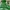 Streetwear Sportswear Windbreaker Pria green photo 4