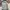 Streetwear Sportswear Windbreaker Pria multicolor photo 3