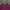 Tommy Hilfiger Vintage Sweater Pria burgundy photo 2