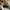 Adidas Streetwear Sneakers Pria white black photo 5