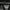 Burberry Luxury Casual Polo shirt Pria multicolor photo 5