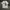The Hundreds Streetwear T-shirt Pria white photo 2
