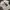 The Hundreds Streetwear T-shirt Pria white photo 1
