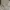 Japanese brand Vintage Casual Parka Wanita tan cream photo 4