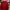Pendleton Casual Sweatshirt Pria red photo 1