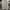 Kangol Casual Polo shirt Pria white black photo 1
