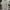 Kangol Casual Polo Shirt Pria White Black