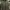 GAP Vintage Parka Pria green photo 1