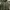 GAP Vintage Parka Pria Green