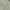 Yves Saint Laurent YSL Luxury Formal shirt Pria cream photo 8