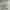 Converse Streetwear Sportswear Hoody Pria gray photo 4