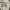 Converse Streetwear Sportswear Hoody Pria Gray
