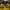 Sportswear Casual Harrington jacket Pria yellow photo 2