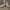 Nike Casual Sneakers Pria white photo 1