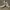 Nike Casual Sneakers Pria White