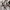 Nike Casual Sneakers Pria white photo 6