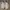Nike Casual Sneakers Pria white photo 2