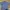 Dickies Casual Formal Shirt Pria Blue