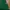 Jean-Michel Basquiat Minimalist Casual Crop top Wanita green photo 8