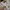 GAP Streetwear Hoody Pria white cream photo 4