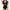 Japanese brand Sportswear Casual Swimwear Wanita black photo 2