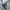 Adidas Sportswear Casual Pria multicolor photo 1