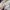 Japanese brand Vintage Y2K Shirt Wanita cream photo 6