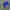 Fruit of the Loom Vintage Y2K T-shirt Pria navy blue photo 1
