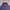 Japanese brand Casual Harrington jacket Pria navy photo 4