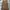 ZARA Vintage Y2K Bralette Wanita brown photo 2