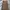 ZARA Vintage Y2K Bralette Wanita Brown