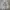 Anti Social Social Club Casual Hoody Pria white photo 2