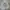 Anti Social Social Club Casual Hoody Pria White