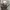 Pancoat Casual Trench Coat Pria Gray