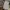 Pancoat Casual Trench coat Pria gray photo 3
