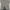 Pancoat Casual Trench coat Pria gray photo 1