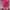 Casual Wanita Pink