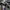 Gorpcore Sportswear Casual pants Pria white black photo 6