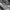 Gorpcore Sportswear Casual pants Pria white black photo 8