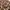 Japanese brand Vintage Y2K Fleece Pria tan brown photo 2