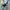 New Balance Streetwear Sportswear Sneakers Pria black gray photo 1
