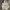 Fear of God ESSENTIALS Casual Hoody Pria white photo 1