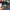 Converse Casual Hat Pria multicolor photo 5