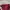 Casual Sweatshirt Pria multicolor photo 5
