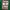 have a good time Streetwear Hoody Pria green photo 2