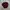 Casual Sweatshirt Pria burgundy photo 3
