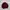 Casual Sweatshirt Pria burgundy photo 1