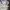 Adidas Vintage Streetwear Hoody Pria gray photo 5