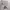 Adidas Vintage Streetwear Hoody Pria gray photo 1